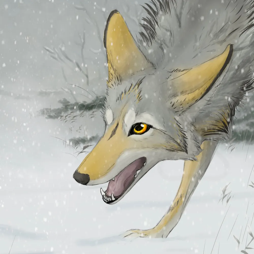 kisota.bsky.social's profile picture