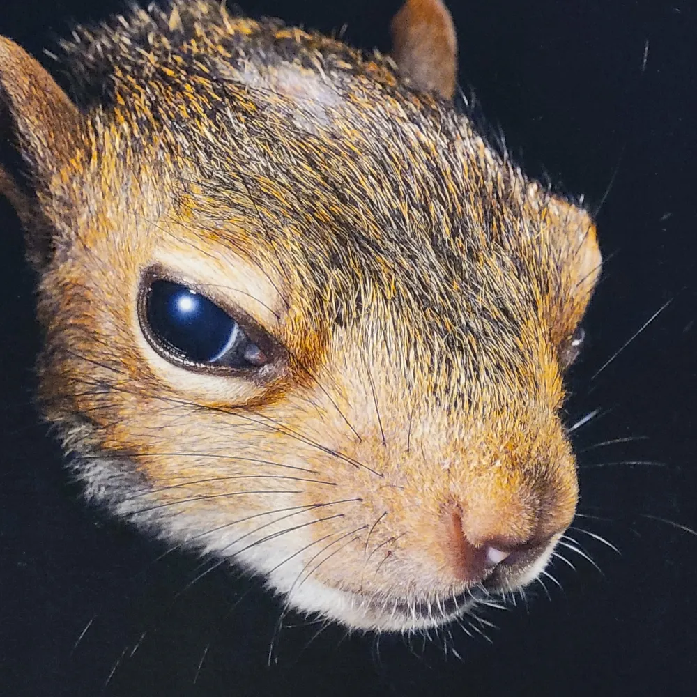 hikerofhills.bsky.social's profile picture