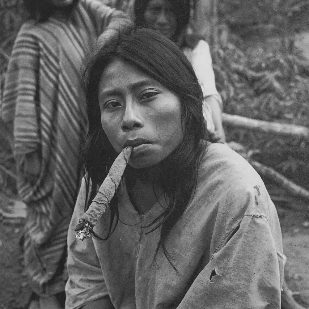 bogdown.bsky.social's profile picture