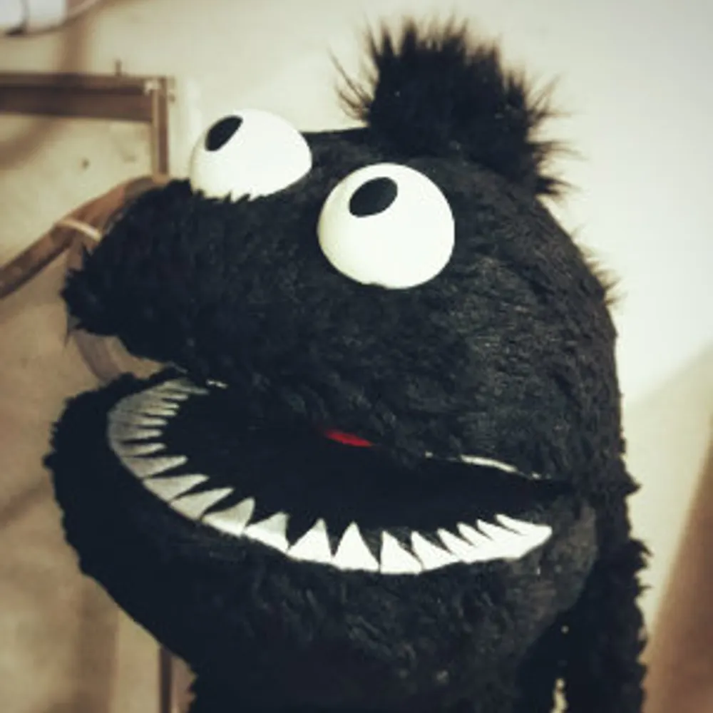 rokkpaw.bsky.social's profile picture