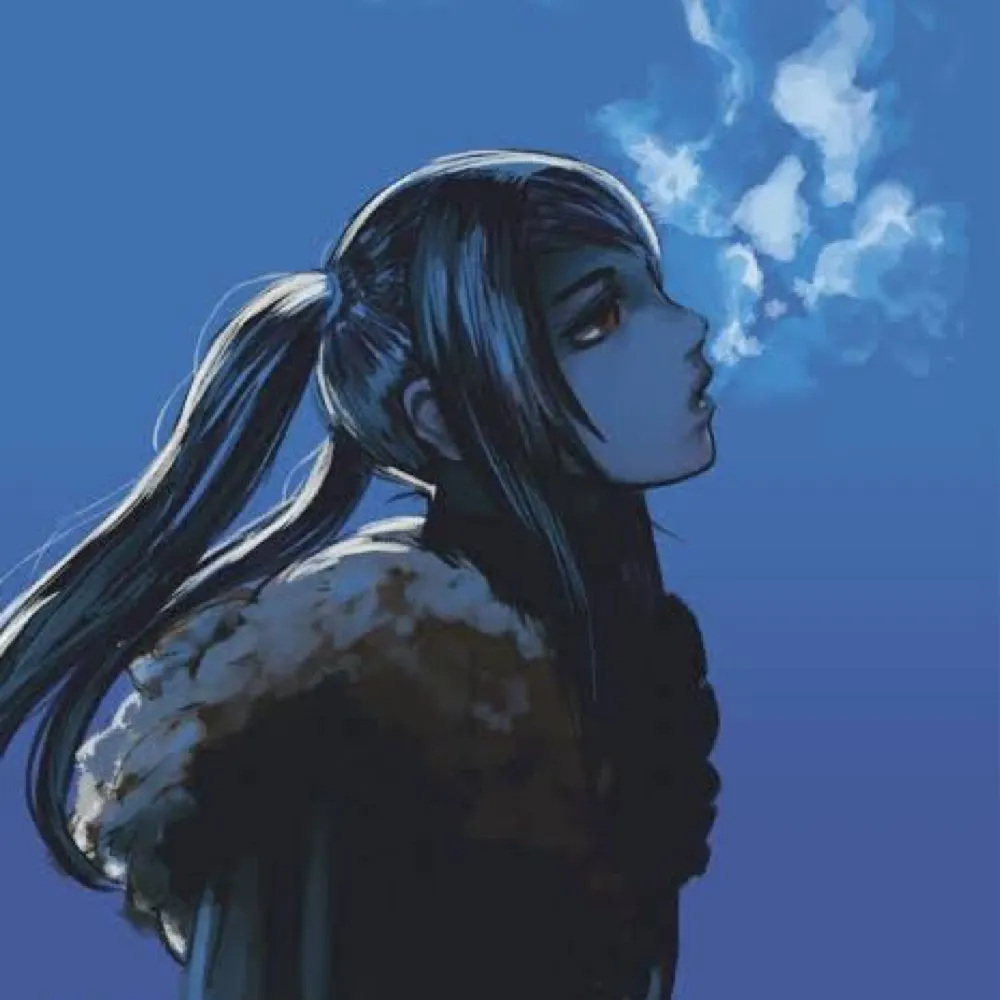 va11halla.bsky.social's profile picture