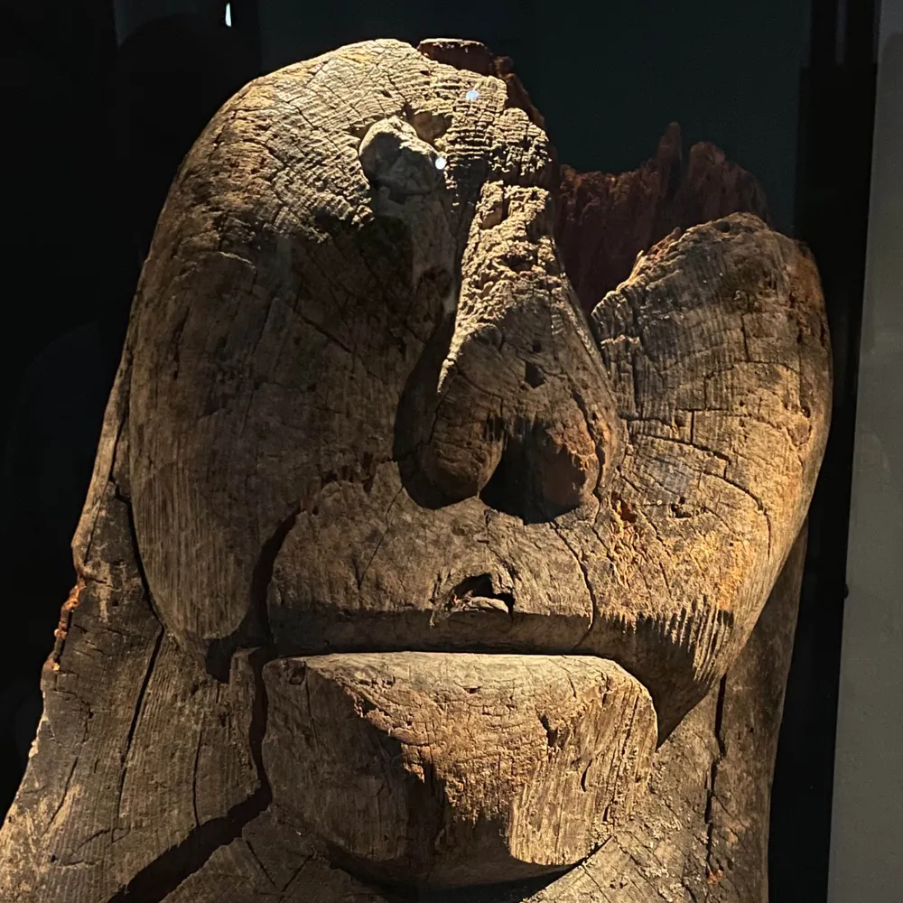 tucmo.bsky.social's profile picture