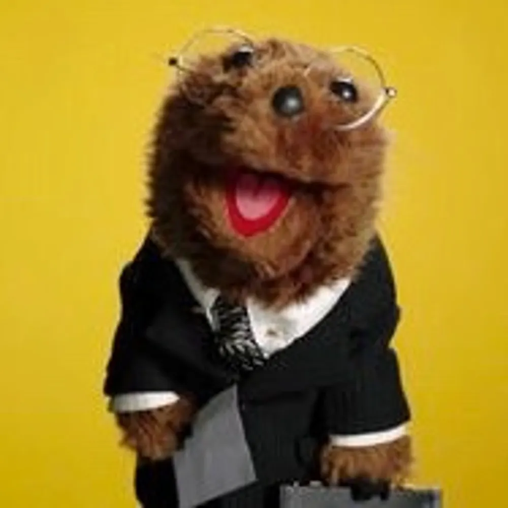 davidhsiegel.bsky.social's profile picture