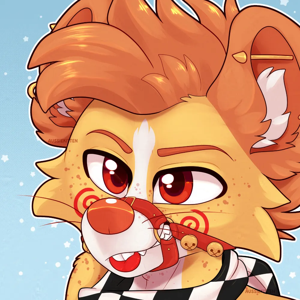 aussiekitten.com's profile picture