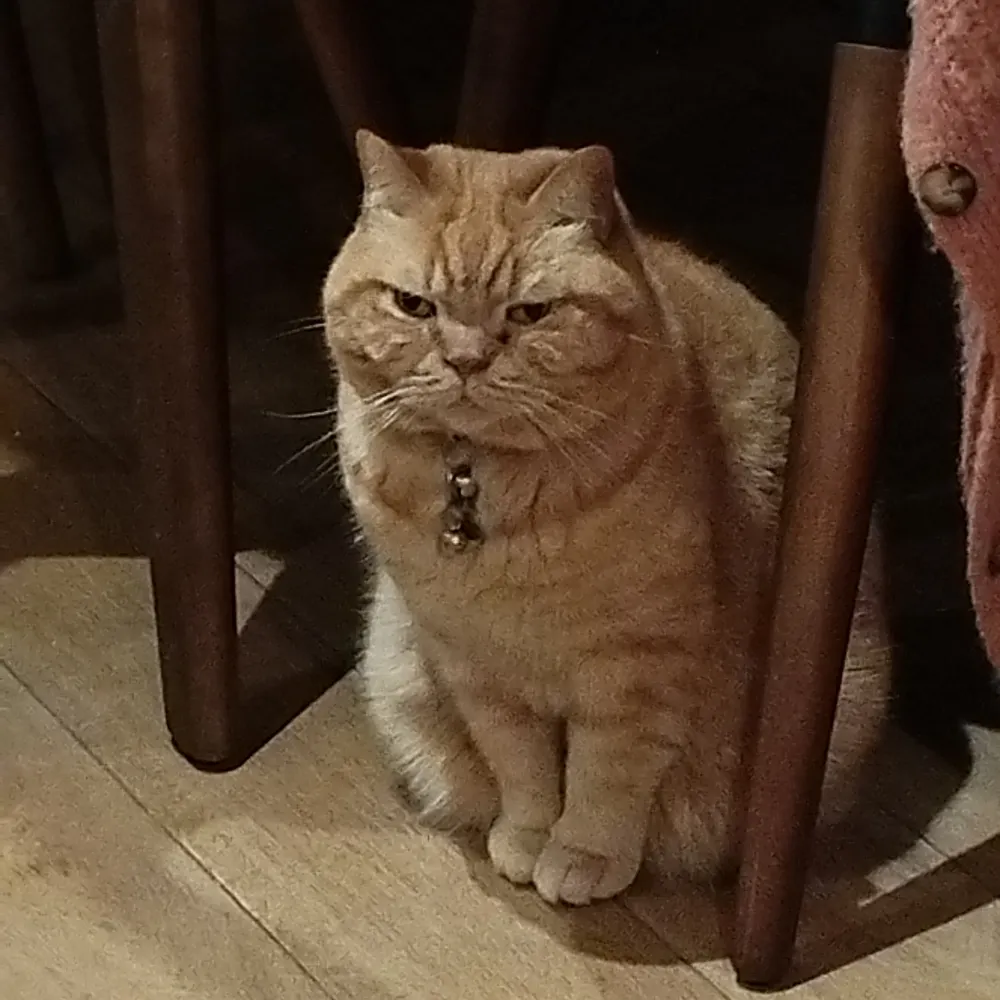 khju12.bsky.social's profile picture