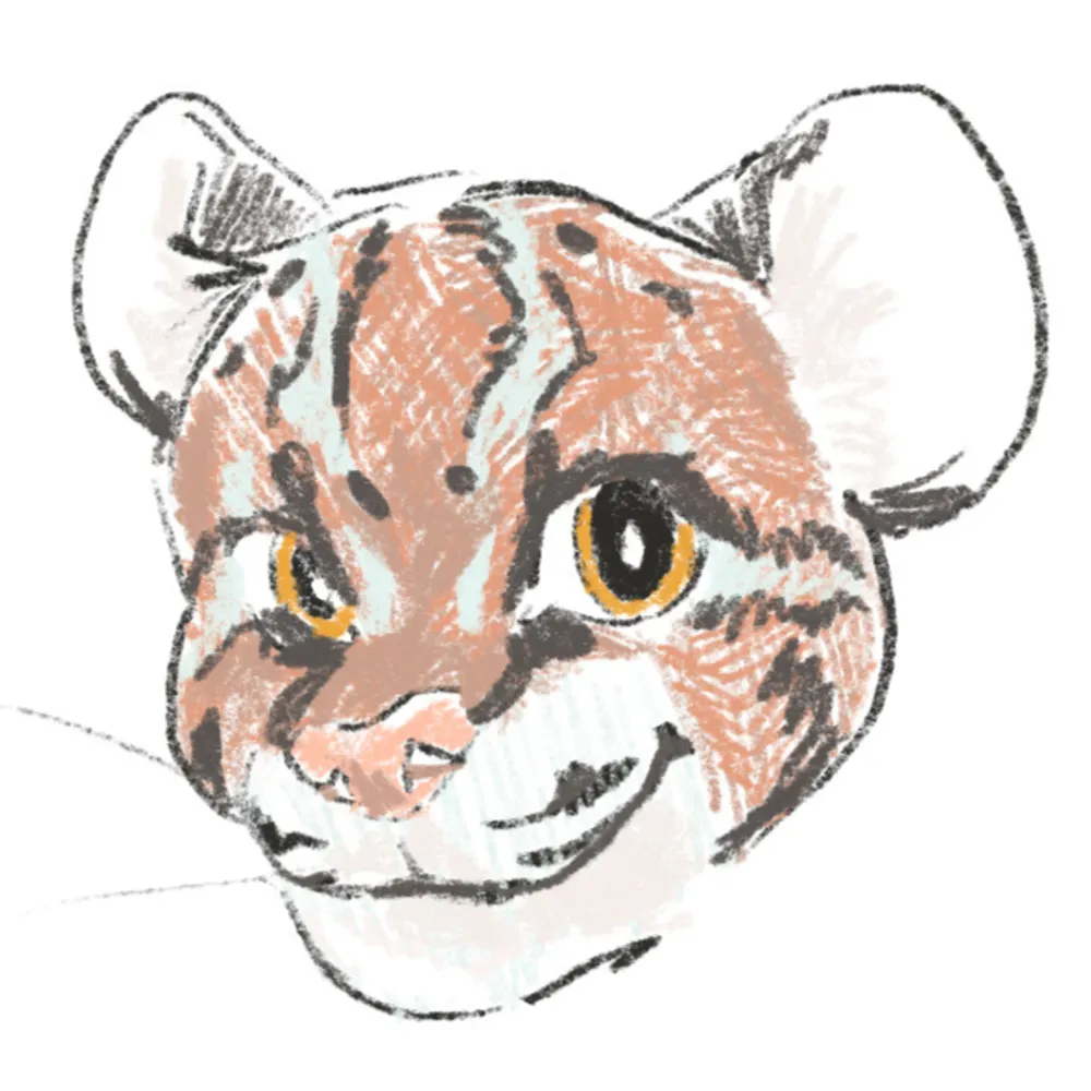 tabbygraphs.bsky.social's profile picture