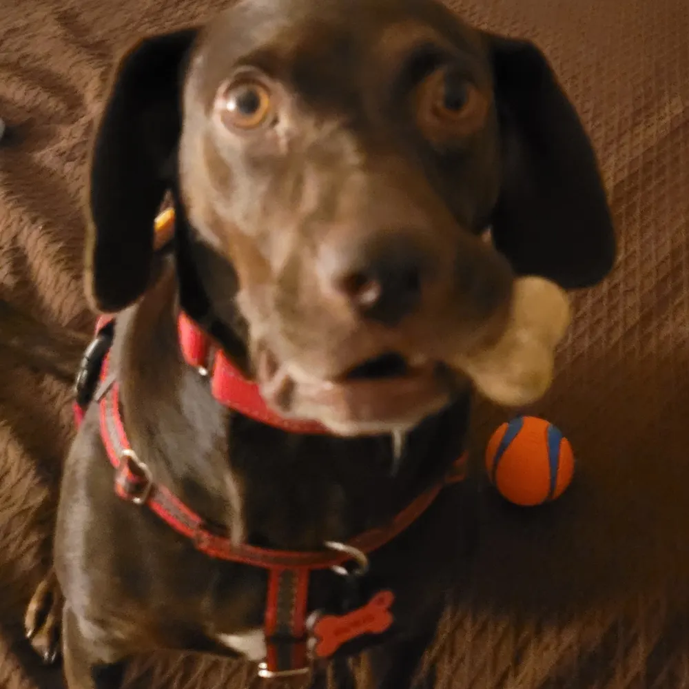 curmudgeonjohn.bsky.social's profile picture