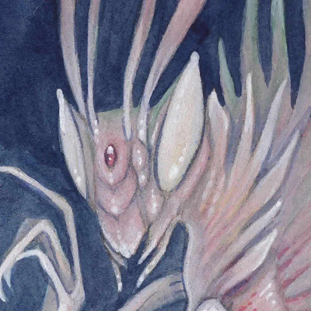 thedancingemu.bsky.social's profile picture