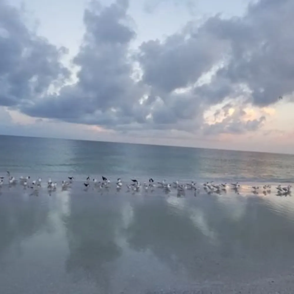 mysticalskyline.bsky.social's profile picture