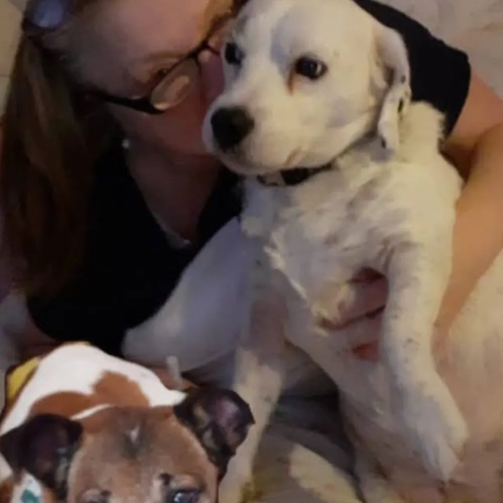 suzyandoggy24.bsky.social's profile picture