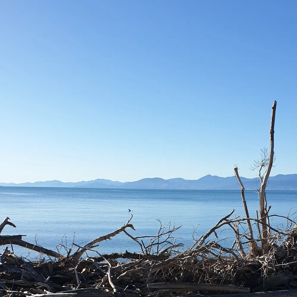 micheau.bsky.social's profile picture