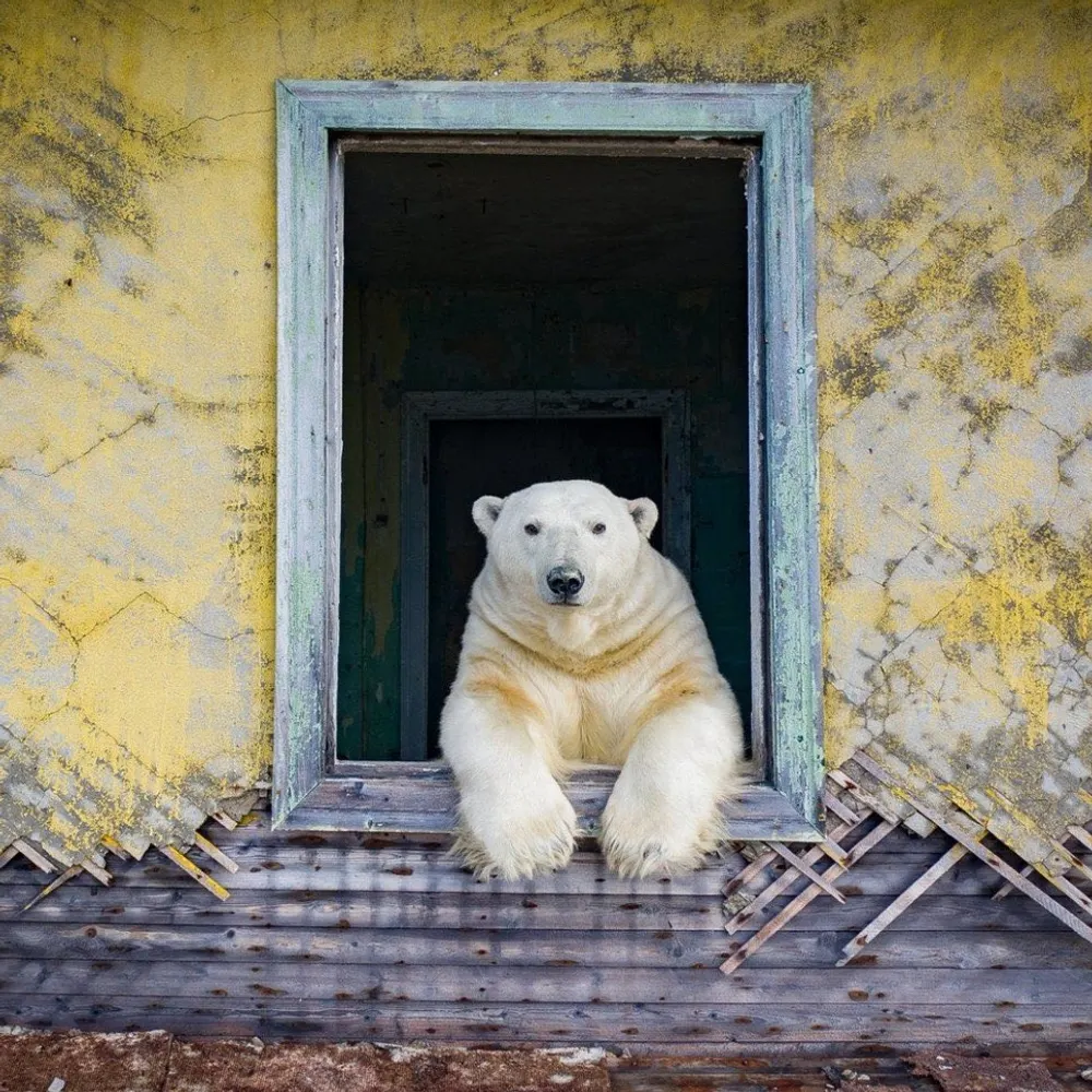 esitrot.bsky.social's profile picture