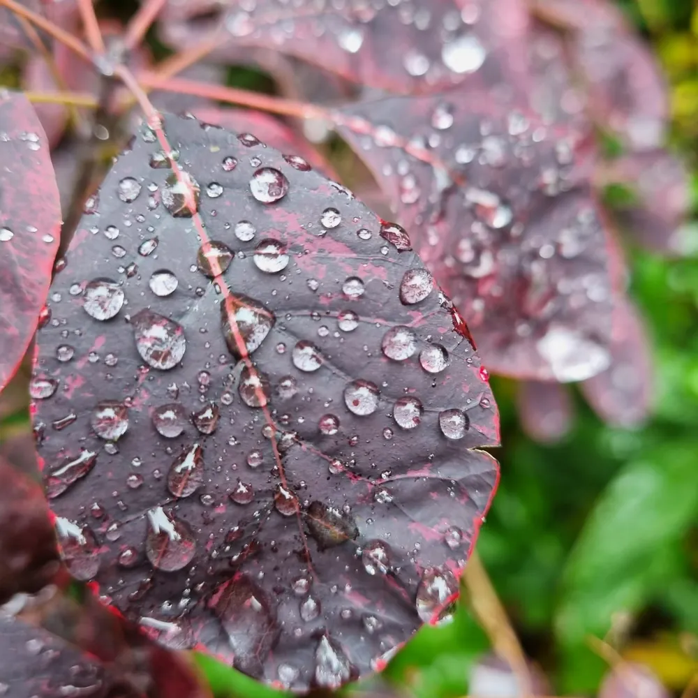 deg13.bsky.social's profile picture