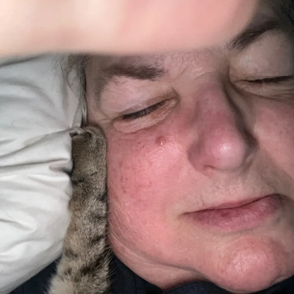 lawombat.bsky.social's profile picture