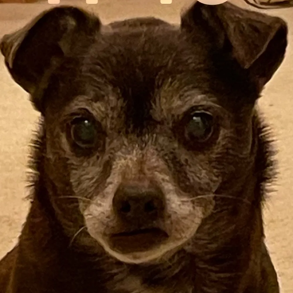 starrysky5.bsky.social's profile picture