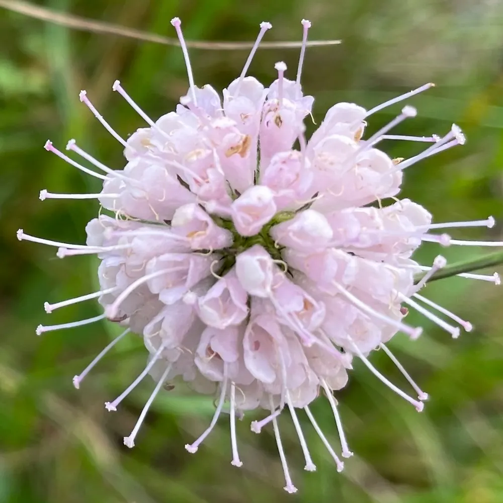 ckjohnsonbk.bsky.social's profile picture