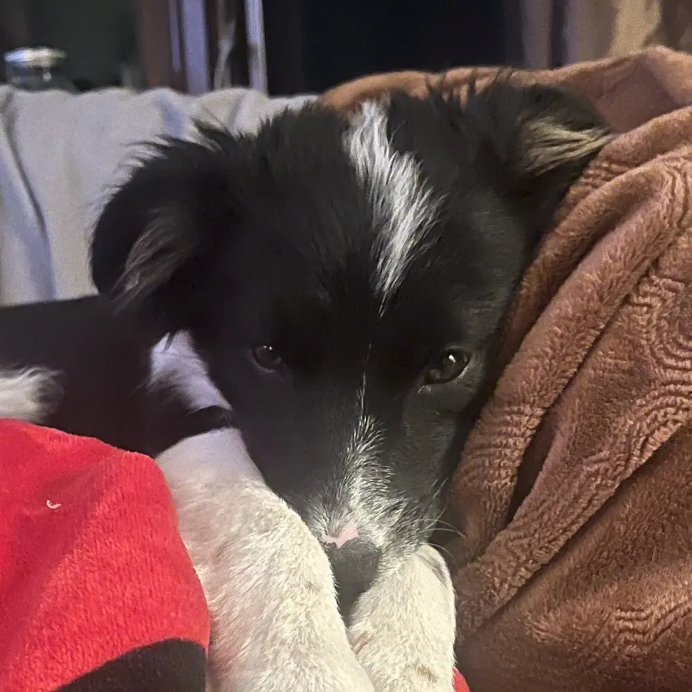 juliemainstreeter.bsky.social's profile picture