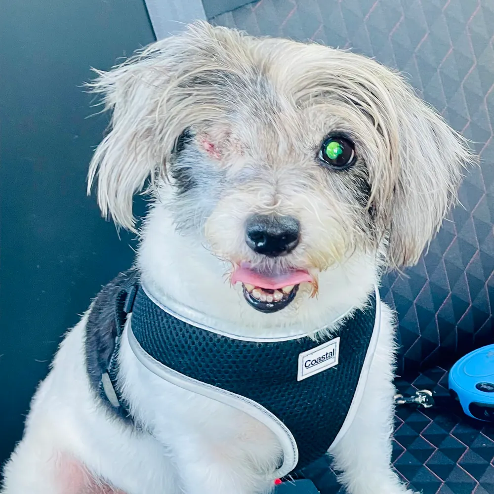 markhughesfilms.bsky.social's profile picture