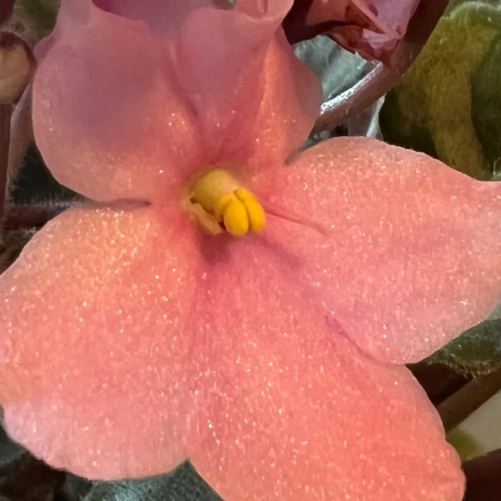 jpreader.bsky.social's profile picture