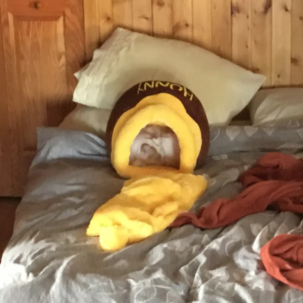 boudro666.bsky.social's profile picture