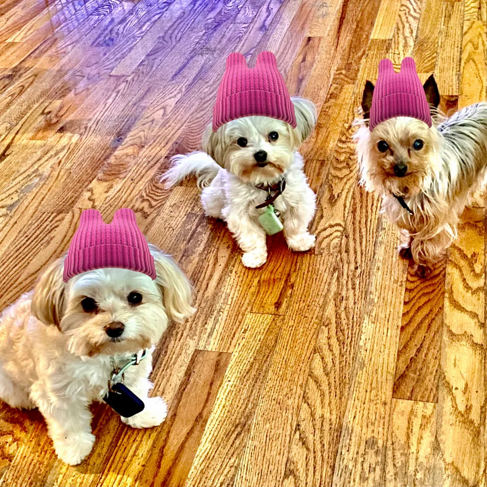 gaj0724.bsky.social's profile picture