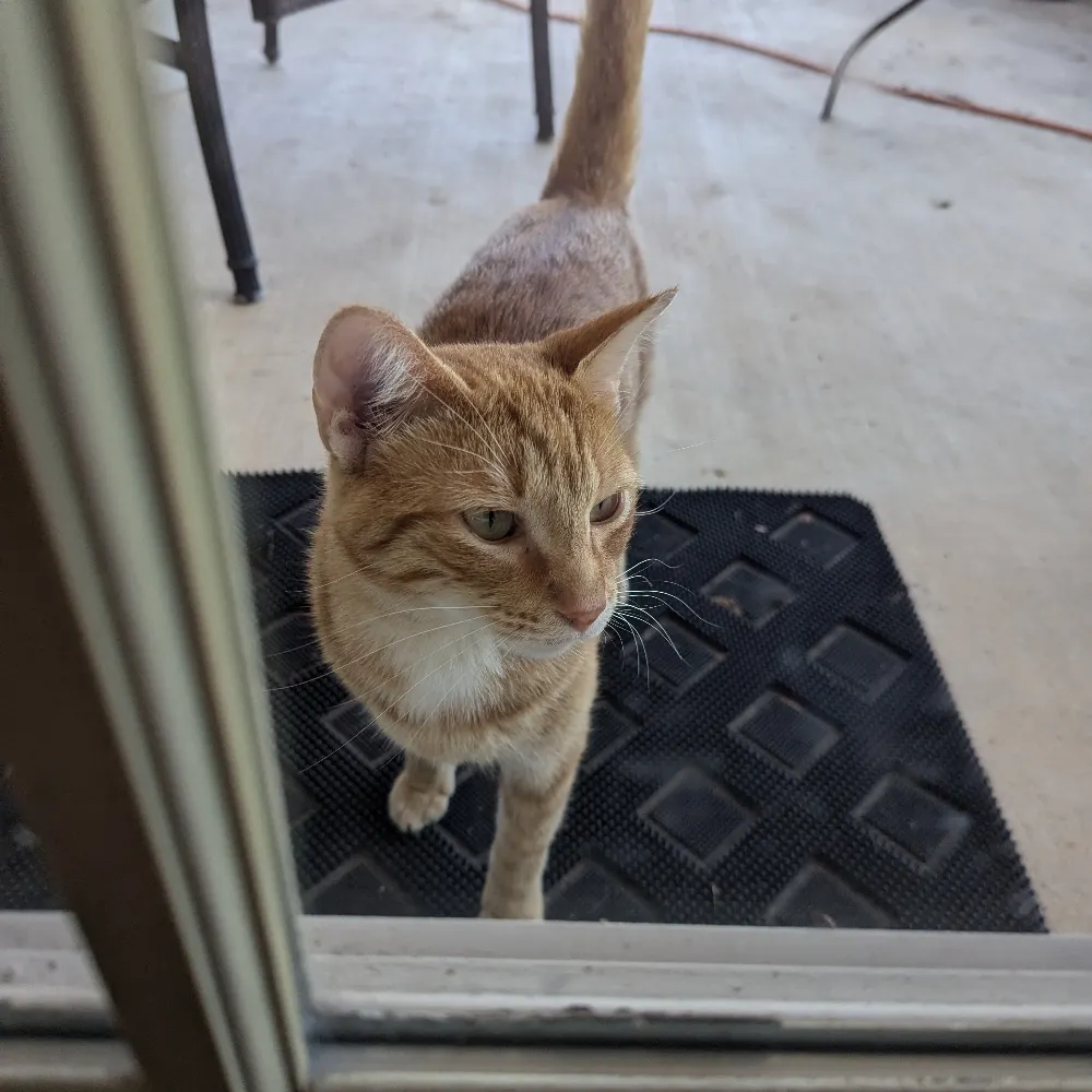 mrbtx.bsky.social's profile picture