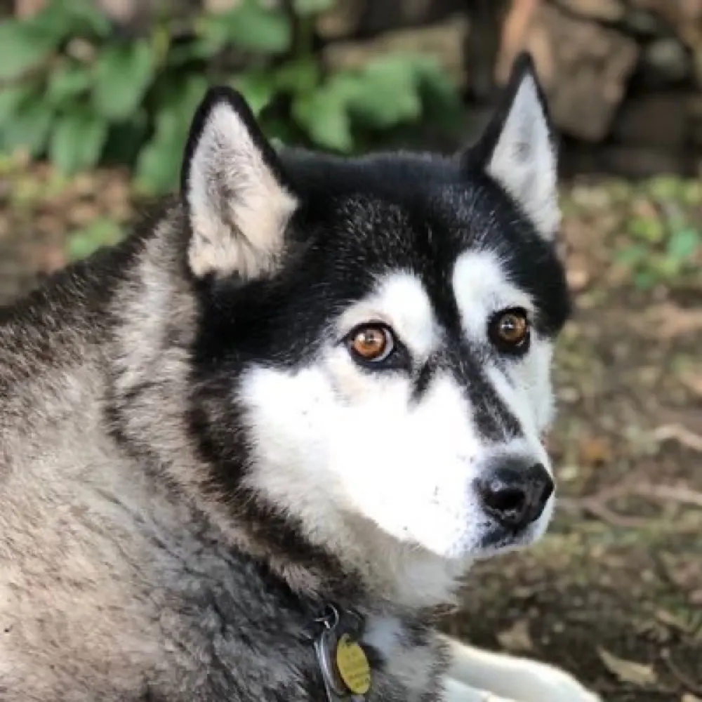 vikrambath.bsky.social's profile picture