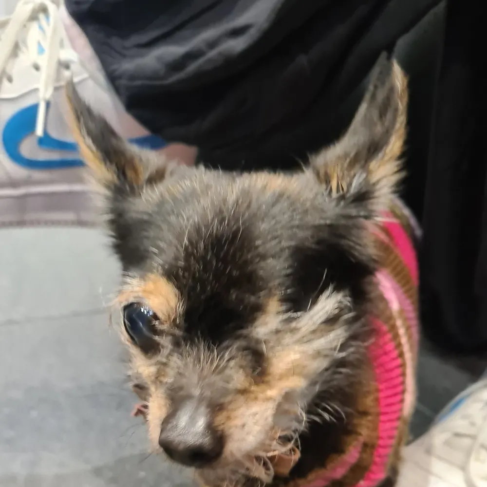 timblue.bsky.social's profile picture