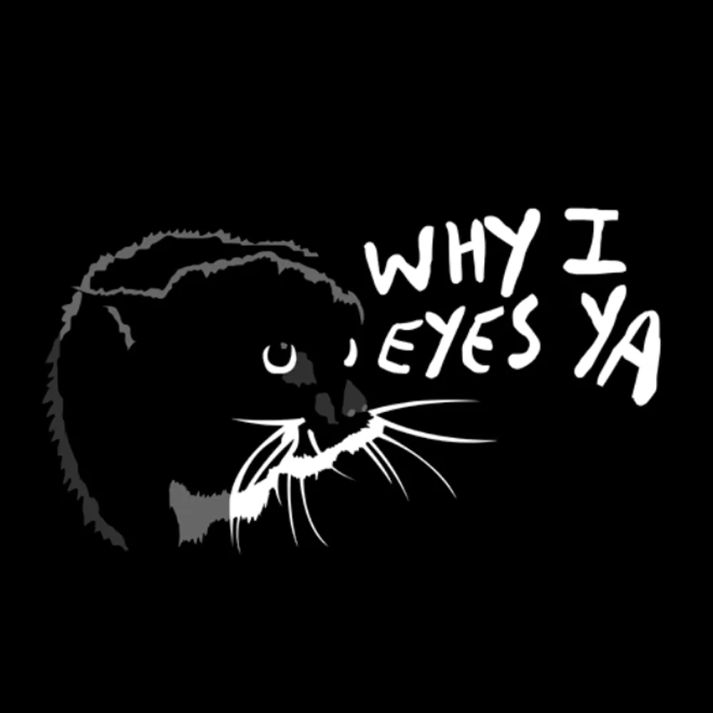 roguesecunit.bsky.social's profile picture