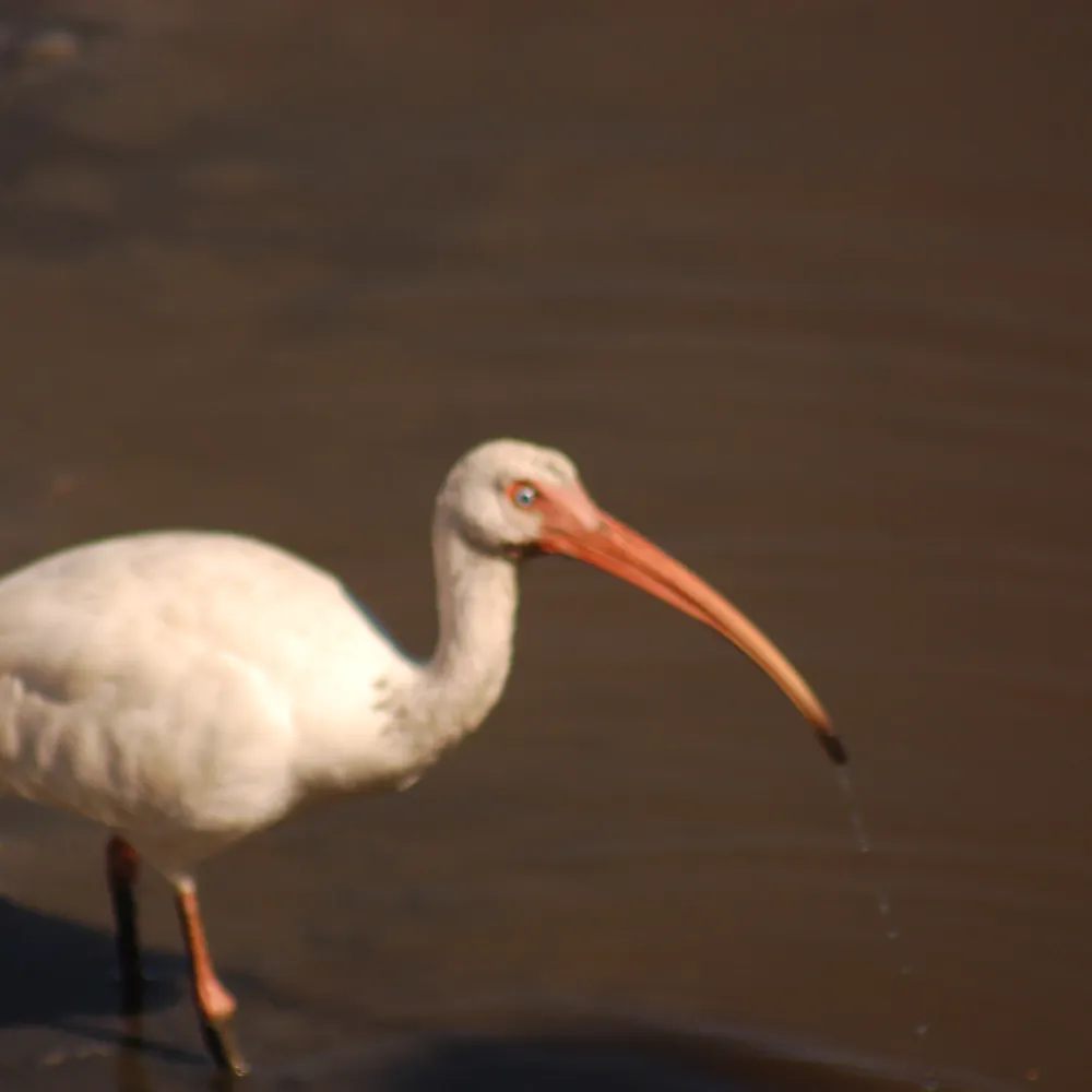 boyproblems.bsky.social's profile picture