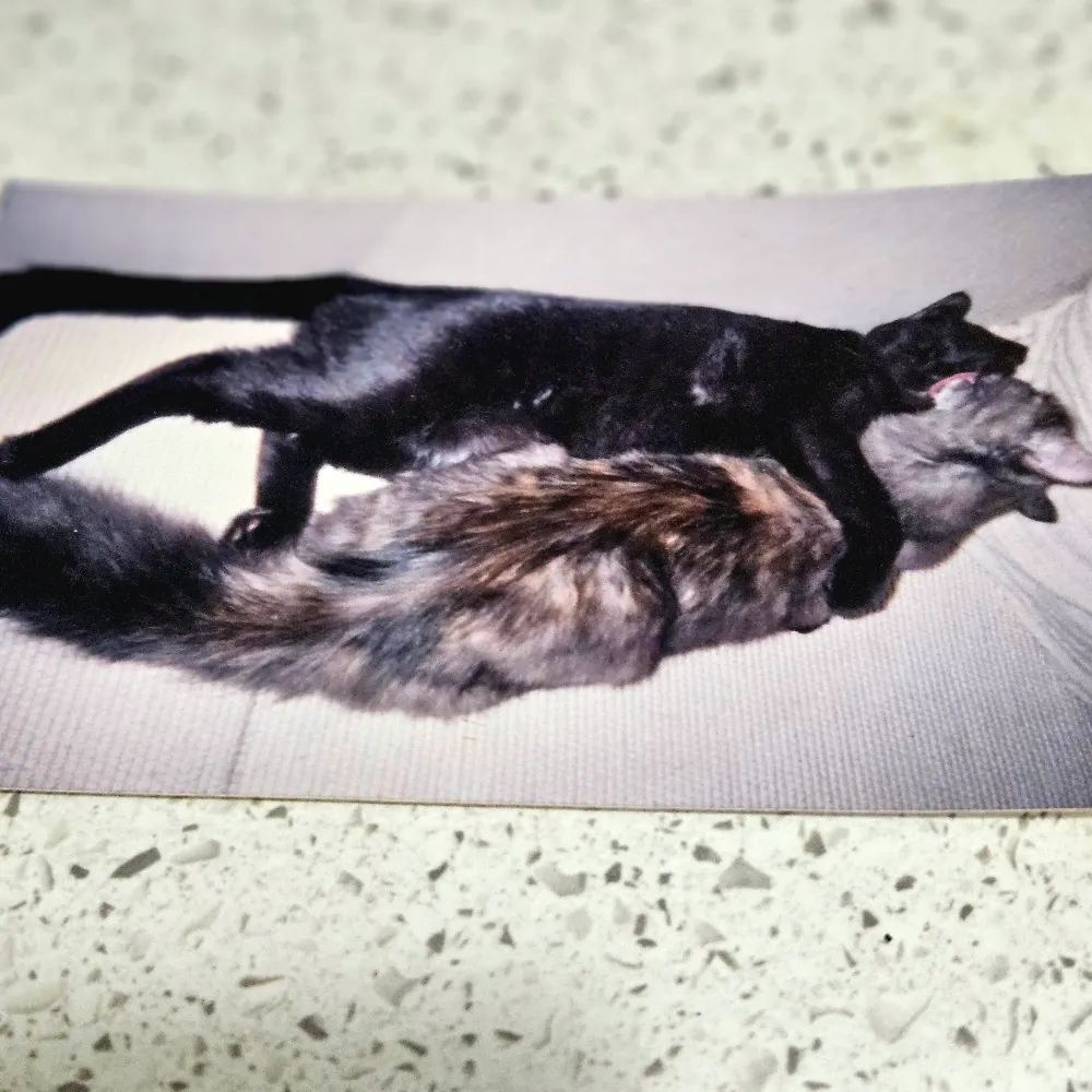 debedu.bsky.social's profile picture