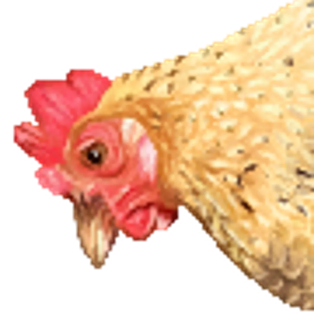 kurasusoratobu.bsky.social's profile picture