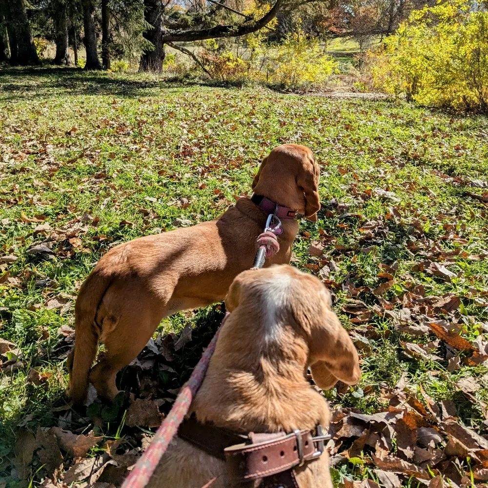 louwellen.bsky.social's profile picture