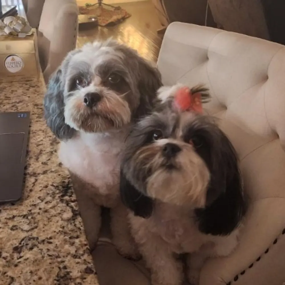 skipjac.bsky.social's profile picture