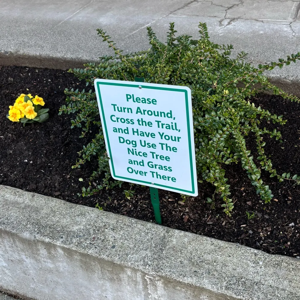 princessjemmy.bsky.social's profile picture