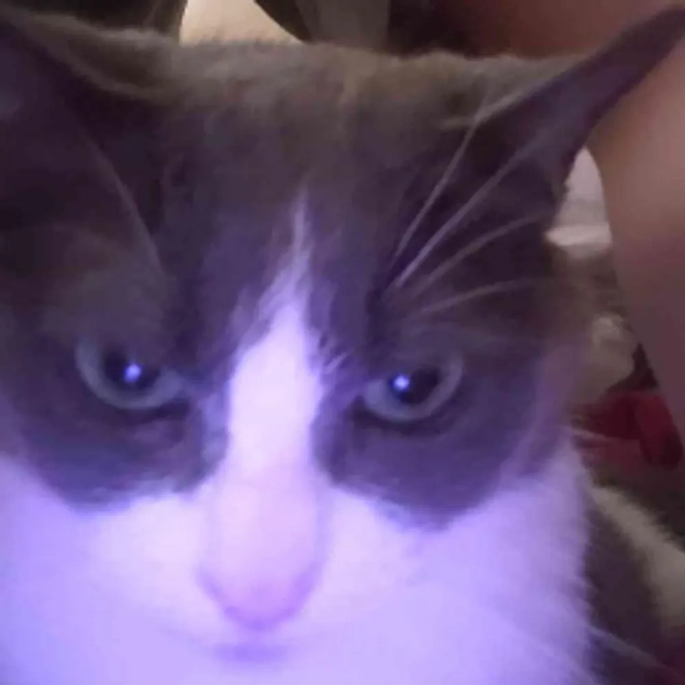 no-two46789.bsky.social's profile picture