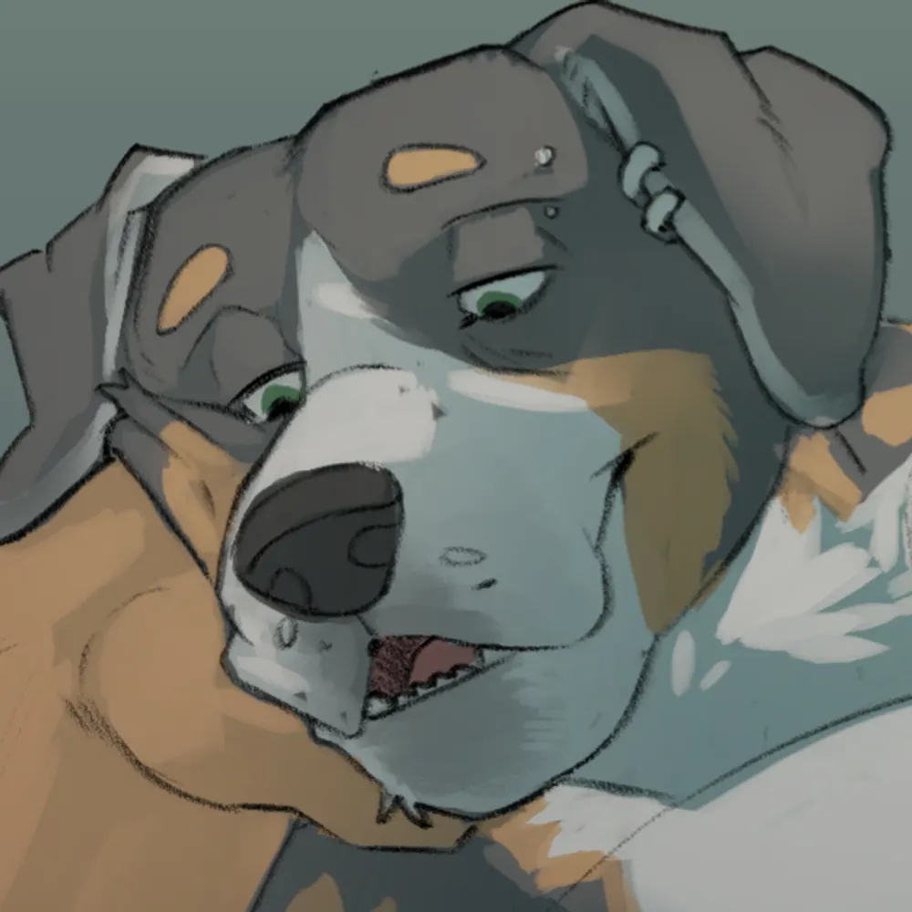 reddtheshibe.bsky.social's profile picture