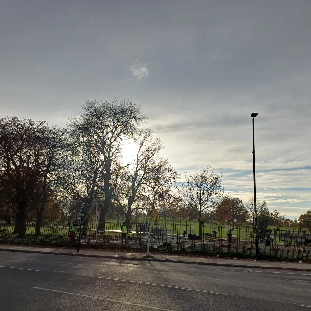 deidan.bsky.social's profile picture