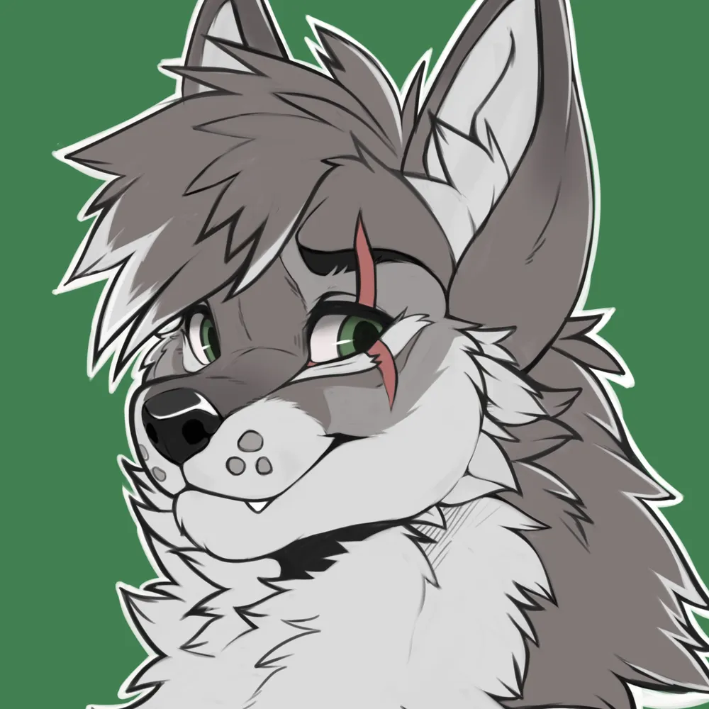 koloartoria.bsky.social's profile picture