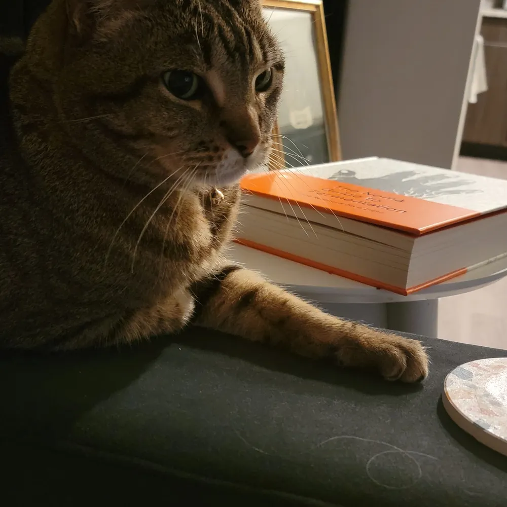 howradheather85.bsky.social's profile picture