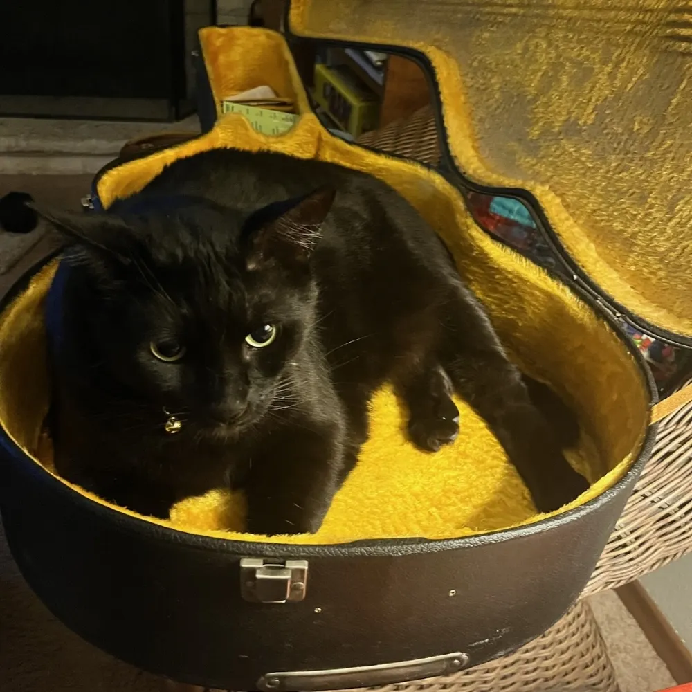 gonzonorthwest.bsky.social's profile picture