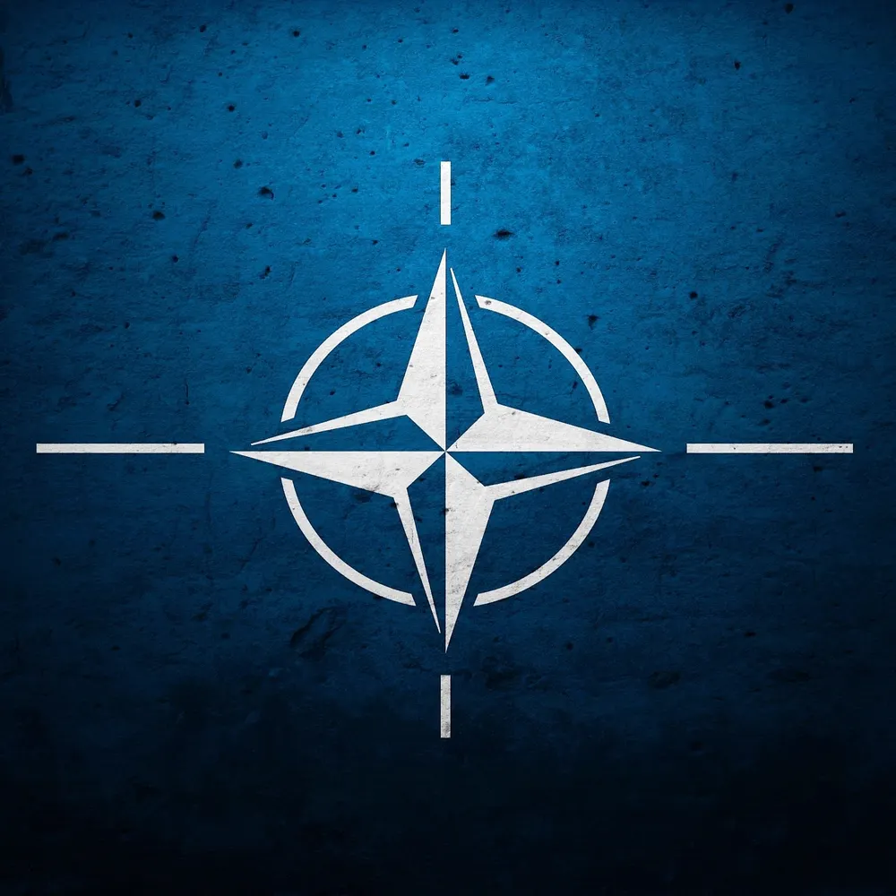 natopron.bsky.social's profile picture