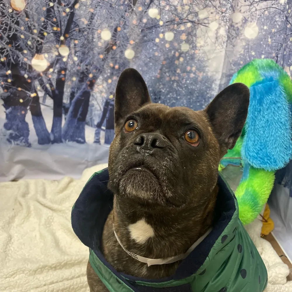 gabby0219.bsky.social's profile picture