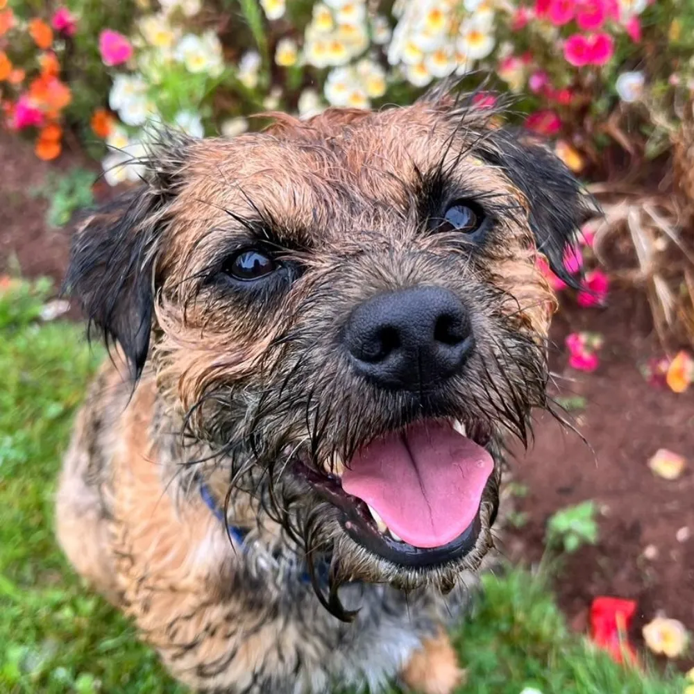 saablg.bsky.social's profile picture