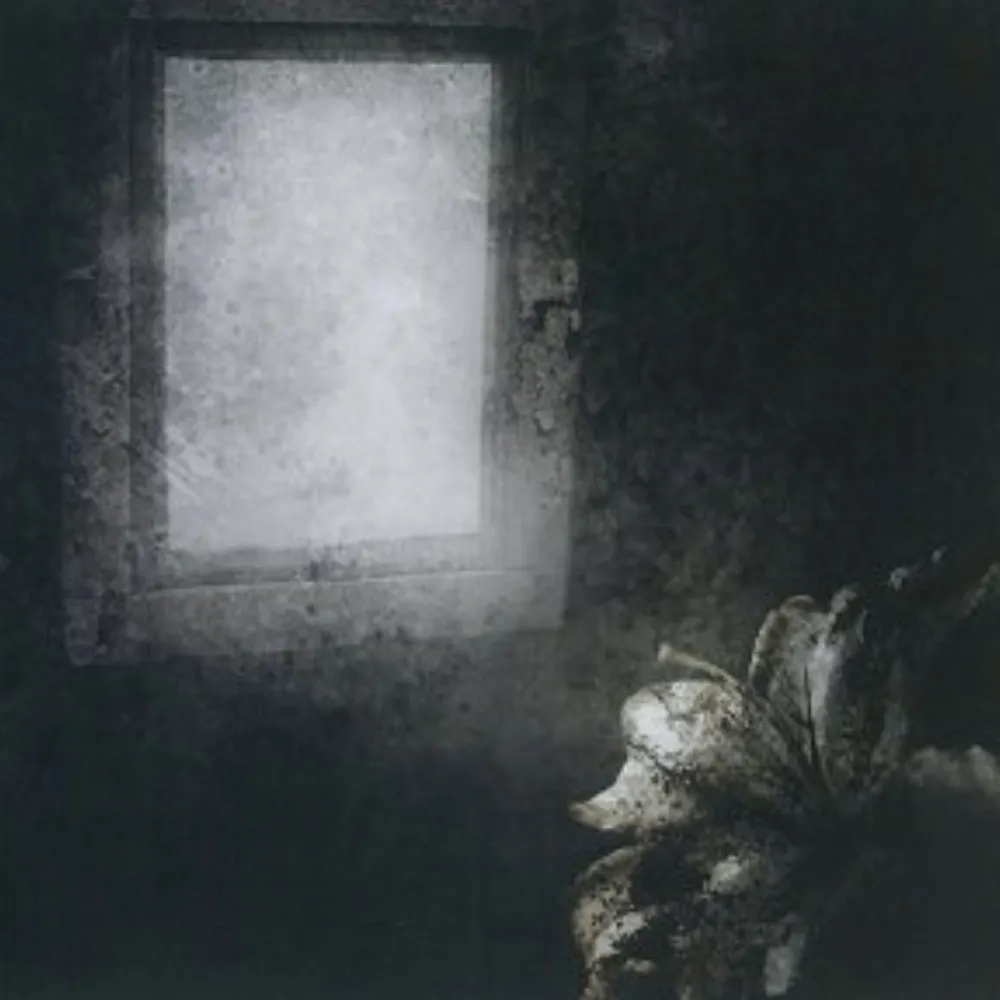 bonsaijodelfisch.bsky.social's profile picture