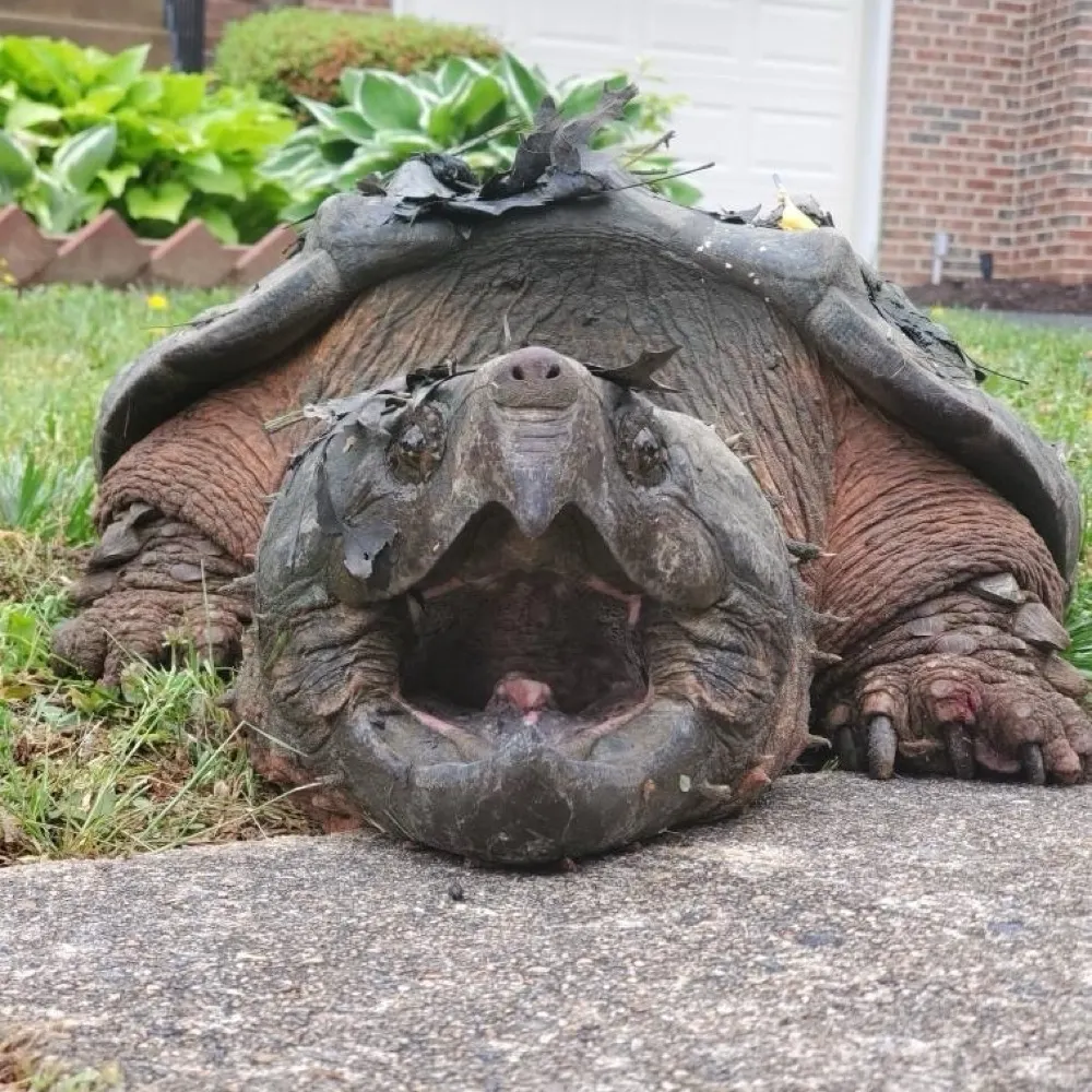 immigrant2blusky.bsky.social's profile picture