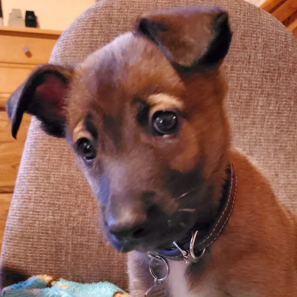 sewsimply.bsky.social's profile picture