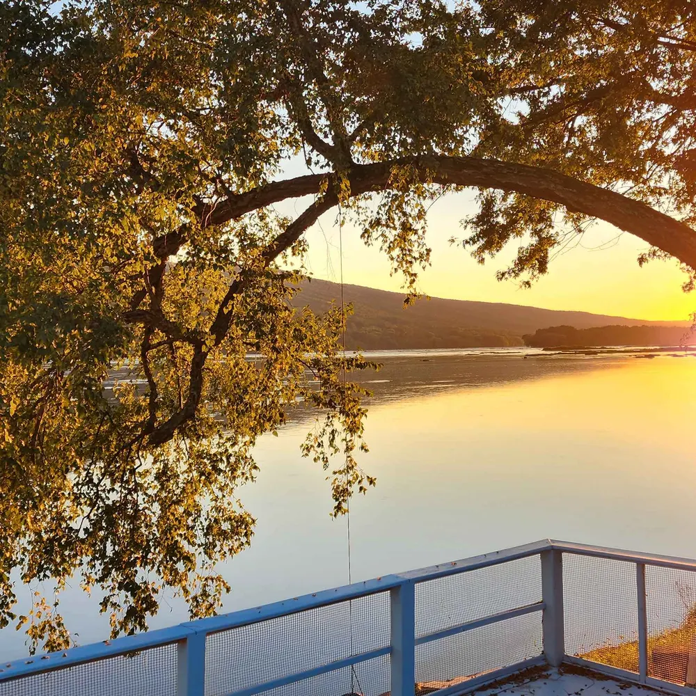 dhajj1.bsky.social's profile picture