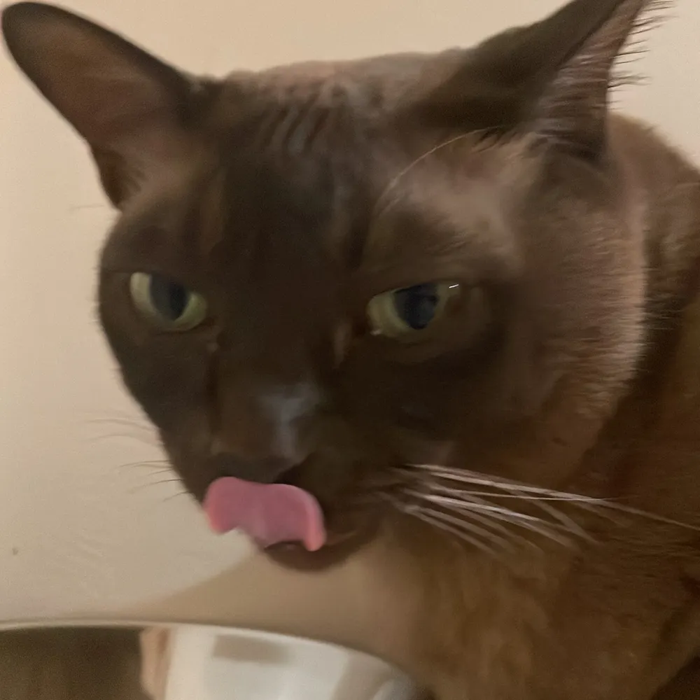 valentenya.bsky.social's profile picture