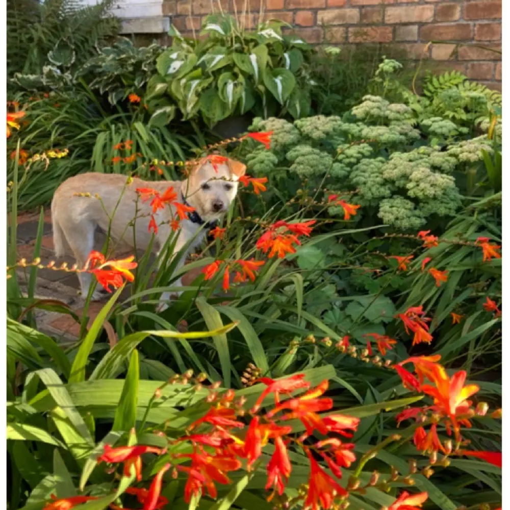 bartiddu.bsky.social's profile picture